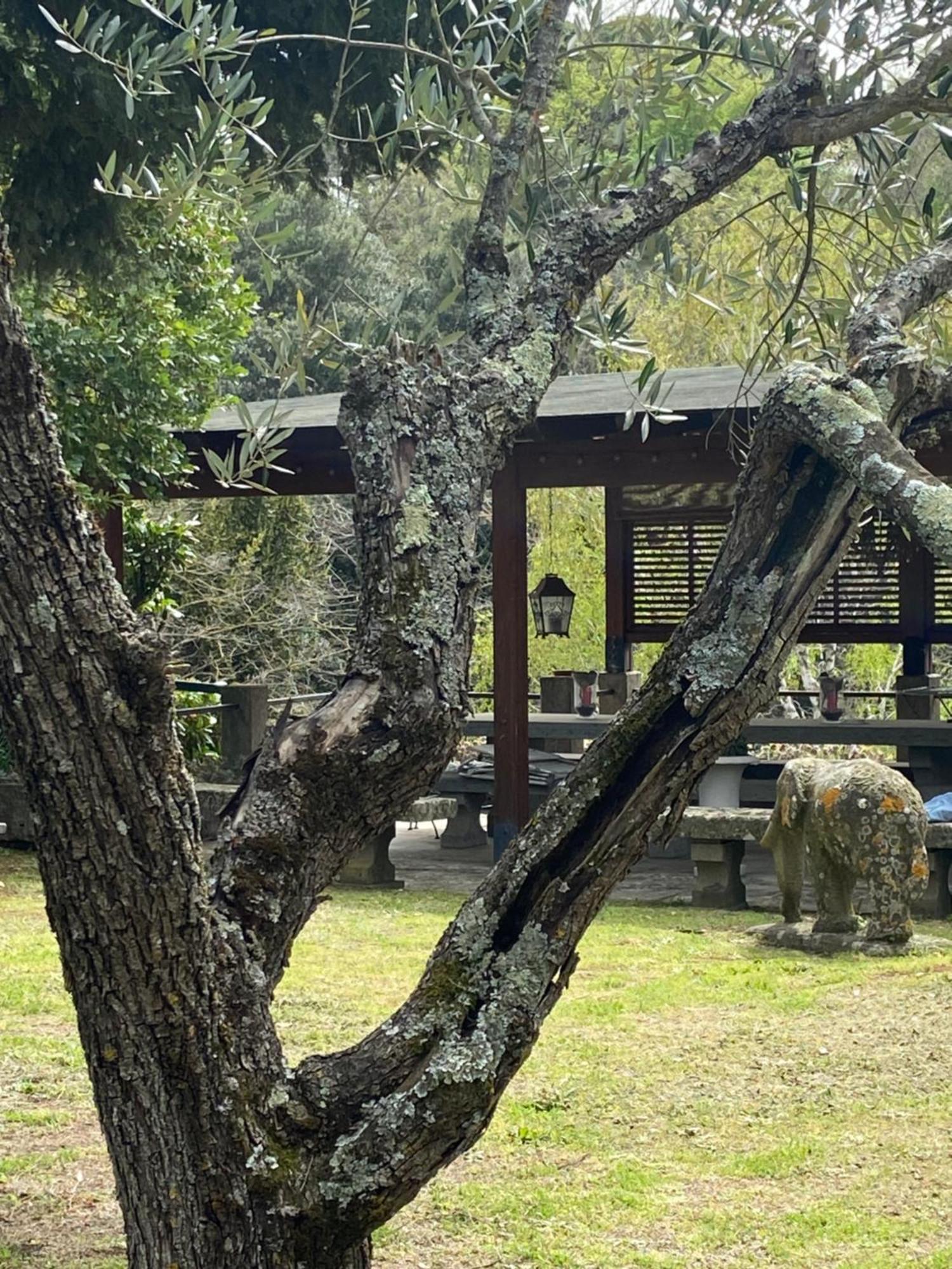 הוילה ויטרבו Il Castelletto Della Palanzana מראה חיצוני תמונה